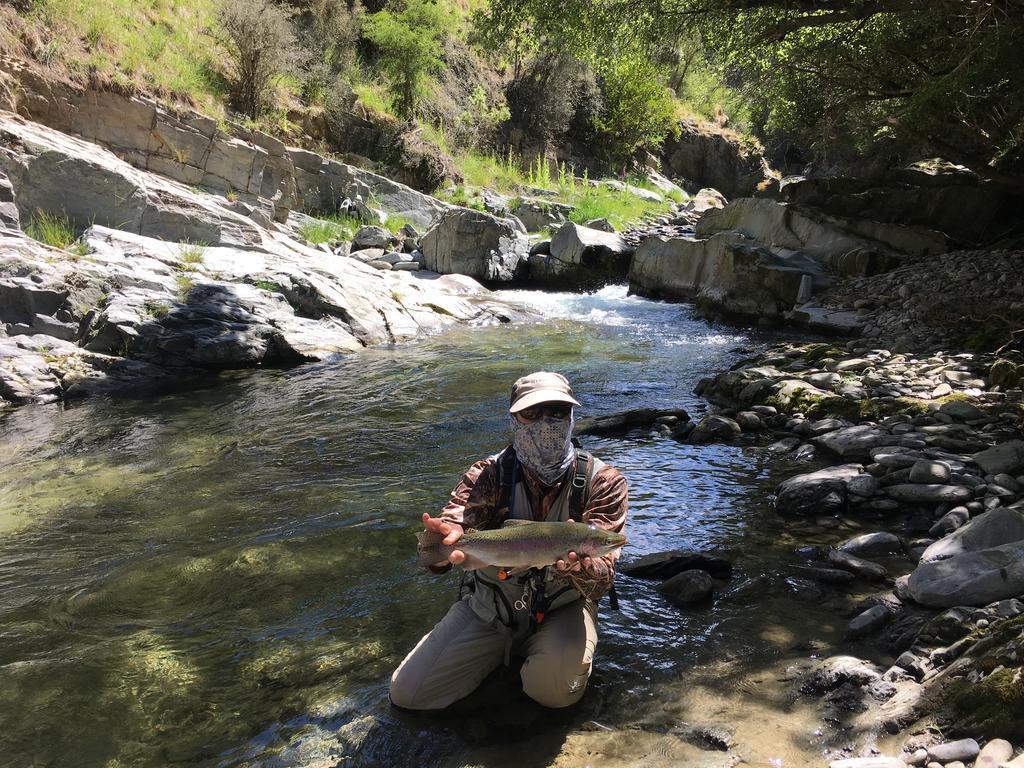 Glendeer Lodge Timaru Eksteriør bilde